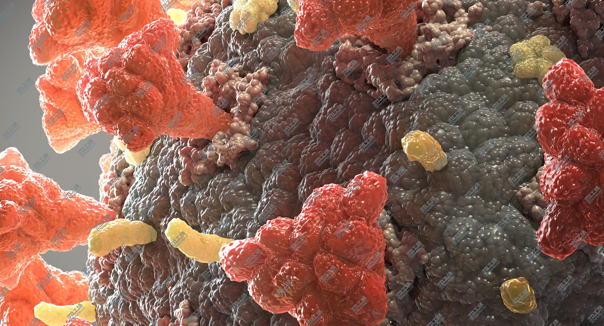 images/goods_img/202105071/3D Coronavirus 02 model/4.jpg